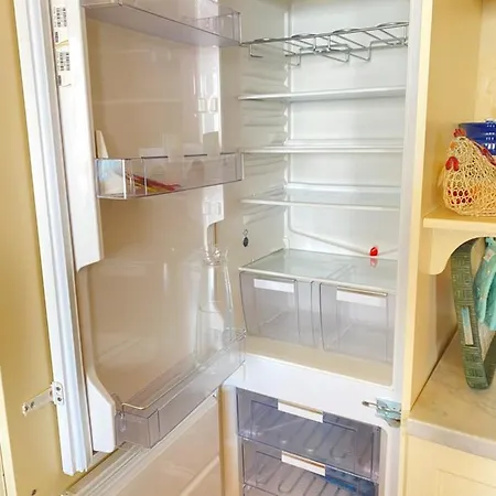 Paradiso * 카모글리